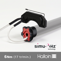 T5 AUTOSHORT BHz - 6 Nm -...